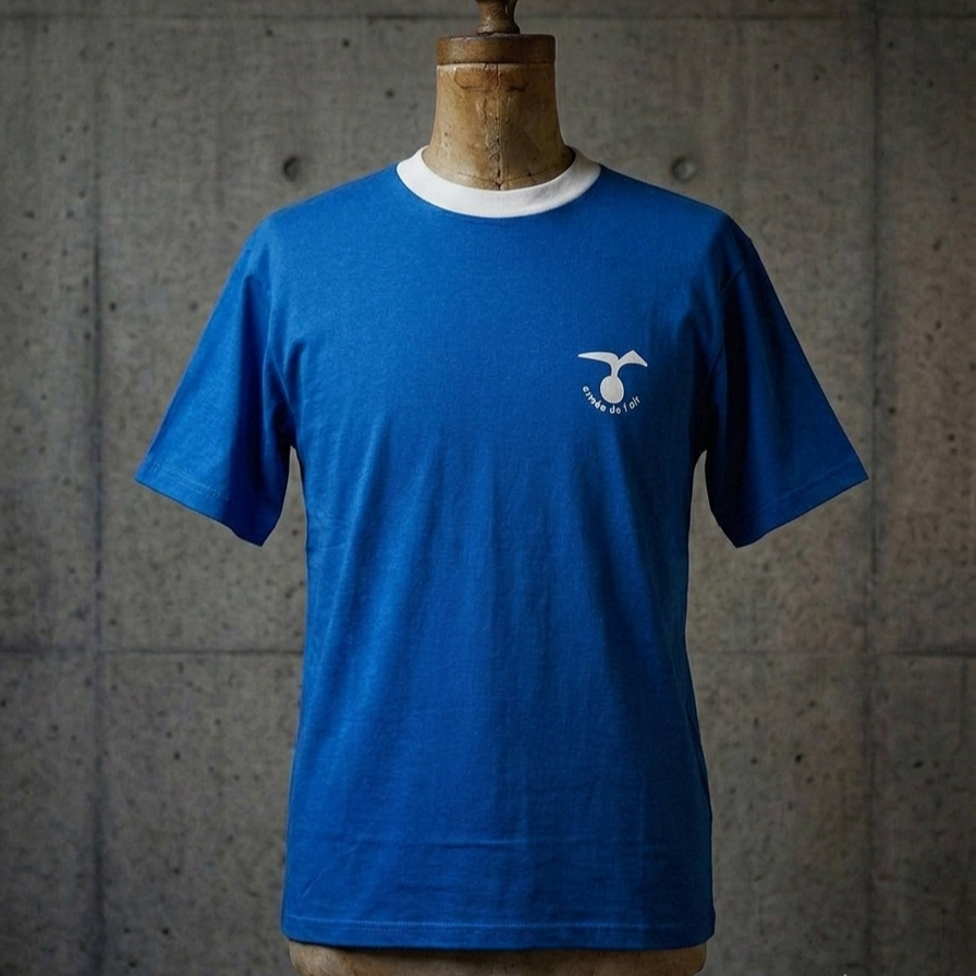 フランス空軍トレーニングTシャツ　《デッドストック》