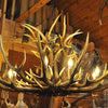 DEER HORN  CHANDLER　16LAMPS　SEPARATE　NATURAL《受注生産》